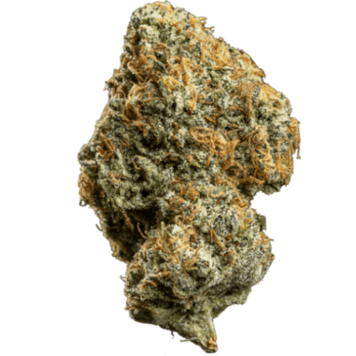 Bild Cannabisblüte avaay 24/1 DID Do-Si-Dos