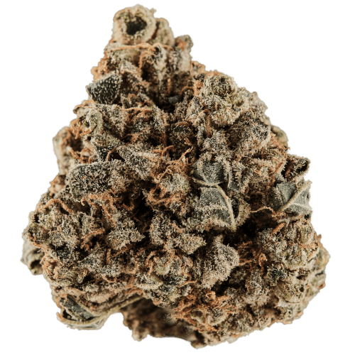 Bild Cannabisblüte Huala 20/1 CA GRF Grape Face