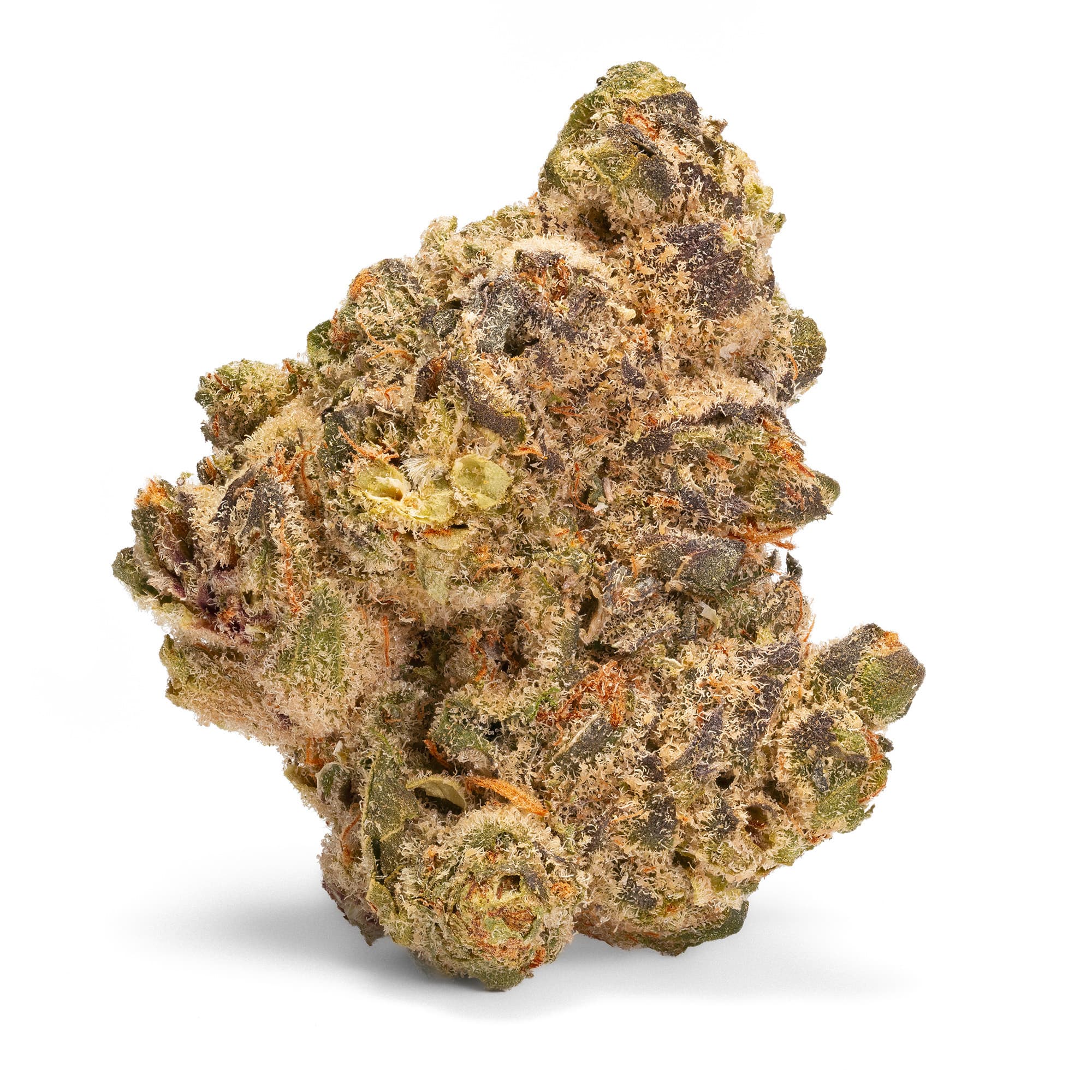 Bild Cannabisblüte Cannabis Flos OHT CKZ 1 RNTZ