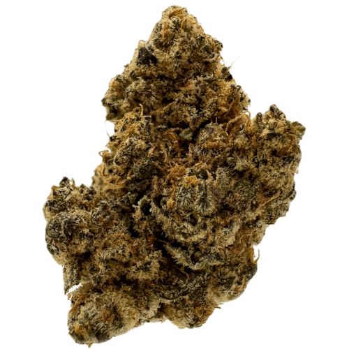 Bild Cannabisblüte All Nations AKM 25/1 Alien Kush Mintz