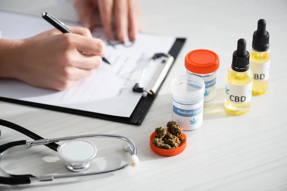 Medizinisches Cannabis Grundlagen: Alles, was Patienten wissen müssen