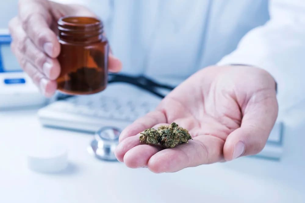 Cannabis richtig dosieren: Eine Anleitung für Anfänger