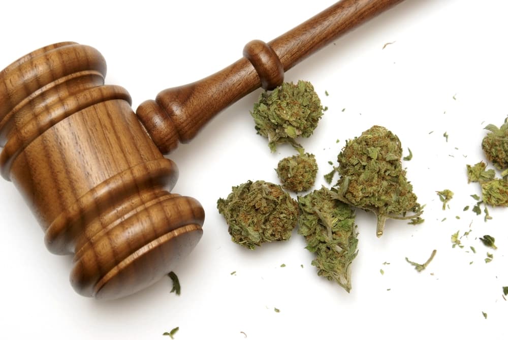 Cannabisgesetz: Welche Regeln gelten seit der Teillegalisierung in 2024?