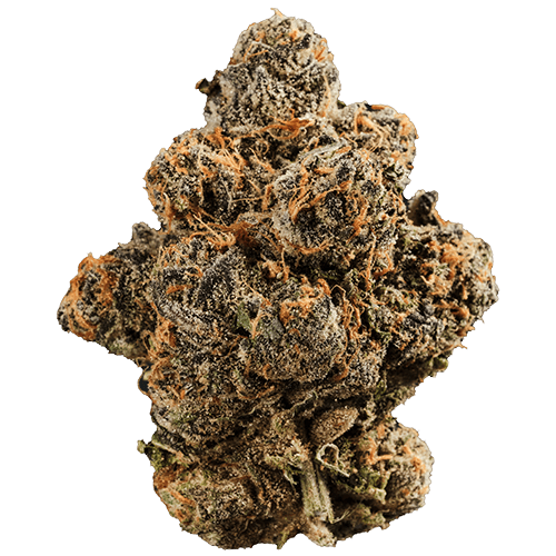 Bild Cannabisblüte 420 Compound 30/1 GAP Gastro Pop