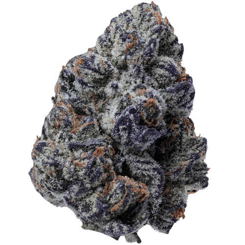 Bild Cannabisblüte 20/1 IUVO OC Killer Cupcake