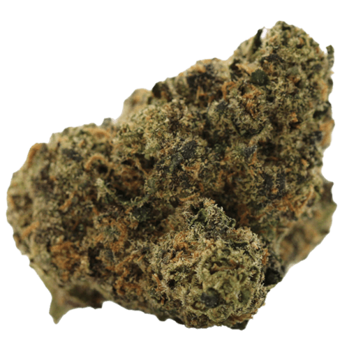 Bild Cannabisblüte Green Karat MG 25/1 Modified Gas