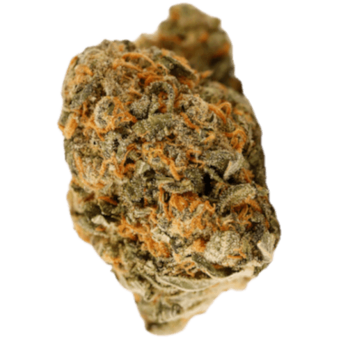 Bild Cannabisblüte Cannamedical Hybrid Forte NM Gorilla Zkittlez