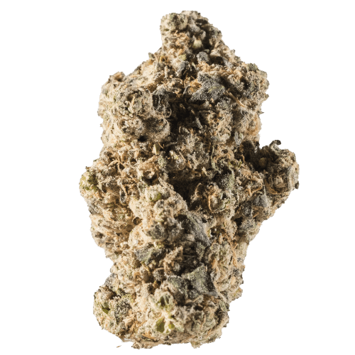 Bild Cannabisblüte avaay Signature 31/1 GOG Gossip Gun