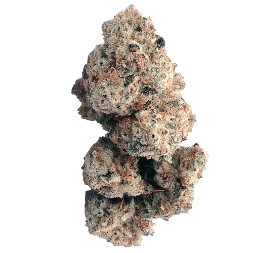 Bild Cannabisblüte Demecan CRAFT Walkie Talkie 31:01 Sugar Cake