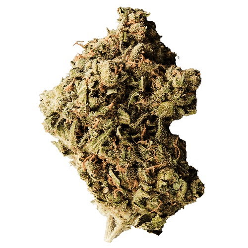 Bild Cannabisblüte 420 Sungrown 25/1 CA ZRP Zour Apple