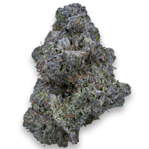 Bild Cannabisblüte 28/1 IUVO KC OJ Zainbow