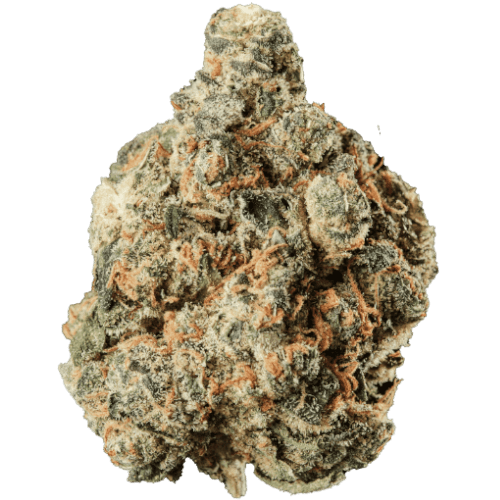 Bild Cannabisblüte Huala 30/1 CA SCO Scoops