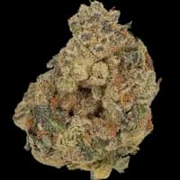 Bild Cannabisblüte Cannamedical CM 30/1 DM Diamond Mints