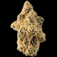 Bild Cannabisblüte avaay Signature 28/1 WB Waffle Bites