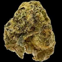 Bild Cannabisblüte All Nations PE 25/1 Pineapple Express