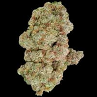 Bild Cannabisblüte avaay Signature 34/1 OGC Ocean Grown Cookies