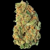 Bild Cannabisblüte avaay 28/1 AHC Amnesia Haze Cake