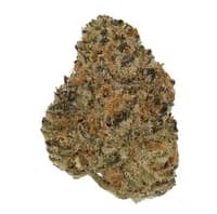 Bild Cannabisblüte Cannamedical Indica ultra AU El Jefe