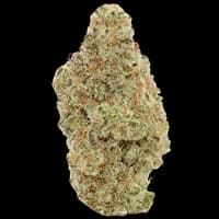 Bild Cannabisblüte All Nations MD 25/1 Mac Daddy