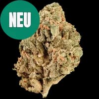 Bild Cannabisblüte Huala 22/1 CA BTR Black Triangle