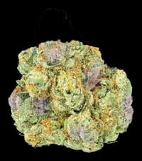 Bild Cannabisblüte Cannamedical Sativa forte Duke