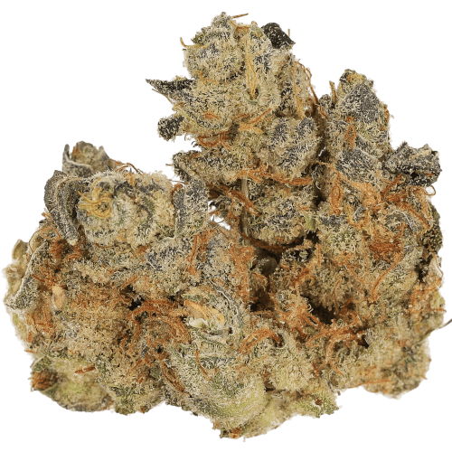 Bild Cannabisblüte Cannamedical CM 31/1 SPC Space Cake