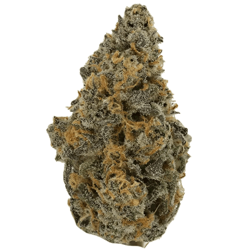 Bild Cannabisblüte Demecan Core JM7 28/1 Jelly Mints