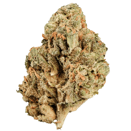 Bild Cannabisblüte Huala 22/1 CA BTR Black Triangle