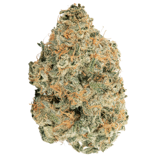 Bild Cannabisblüte avaay 29/1 SCP Sour Cherry Punch