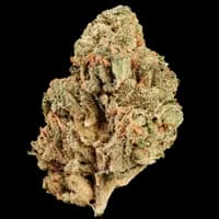 Bild Cannabisblüte Huala 22/1 CA BTR Black Triangle