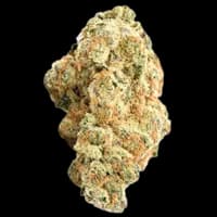 Bild Cannabisblüte Demecan Typ 2 Orange Velvet