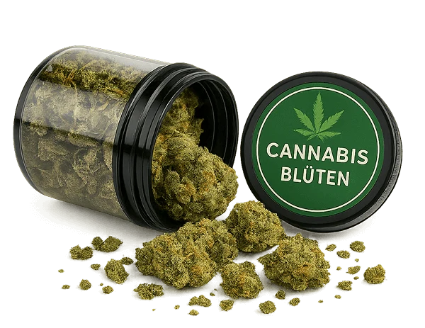 elfbar elfa master akku Cannabis {categoryName}