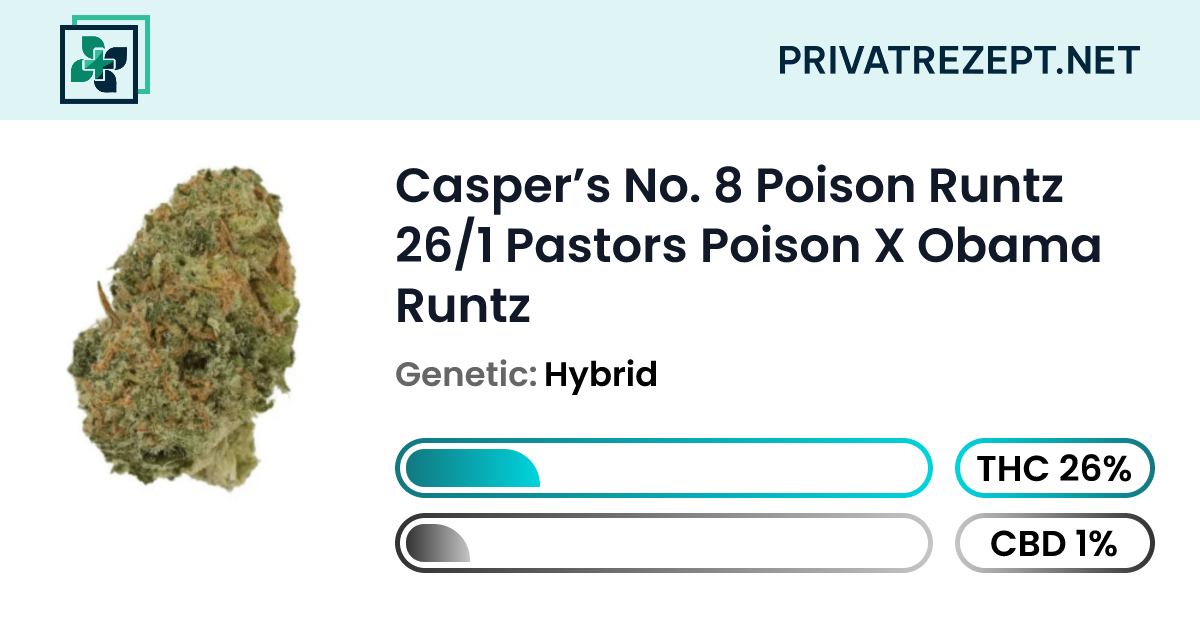 Casper’s No. 8 Poison Runtz 26/1 Pastors Poison x Obama Runtz