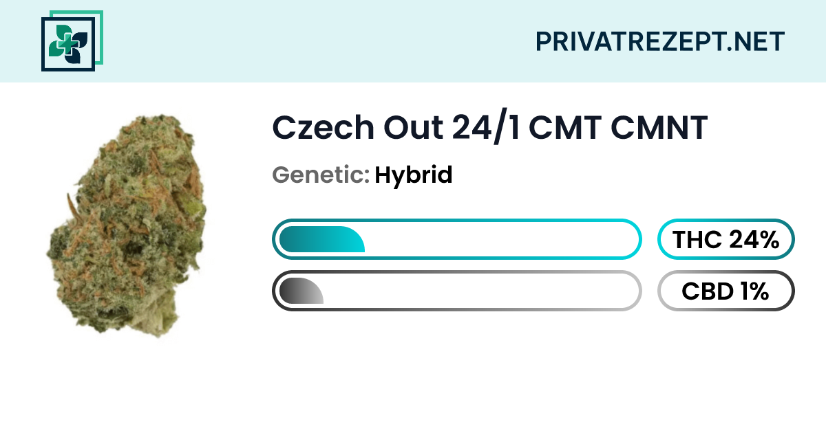 Czech Out 24/1 CMT CMNT | privatrezept.net