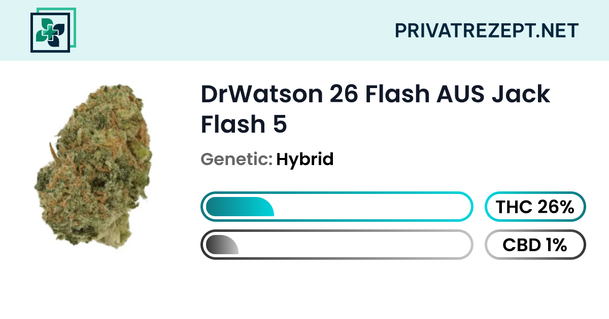 DrWatson 26 Flash AUS Jack Flash 5