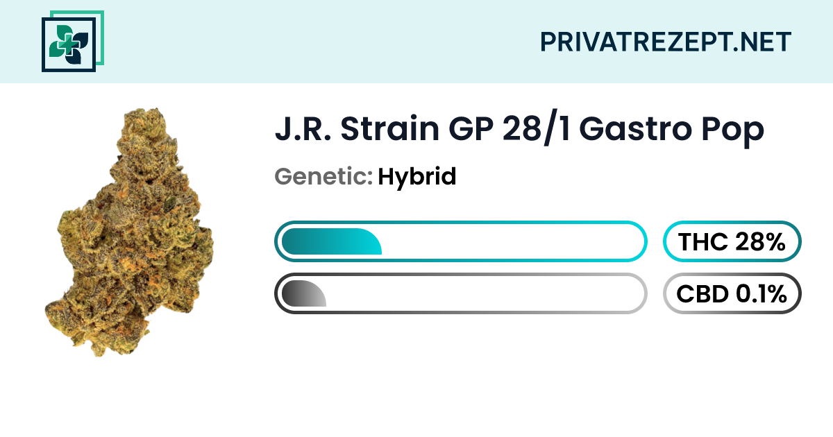 J.R. Strain GP 28/1 Gastro Pop